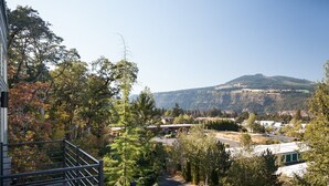 Zona residencial com vista para uma colina, árvores e um edifício com varanda.