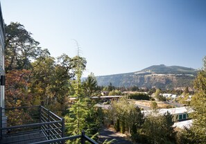 Property grounds - Downwinder - Hot Tub! A/C, Views, Minutes to Downtown (Hood River)