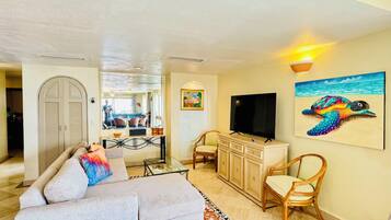 Smart TV, DVD player, books, stereo