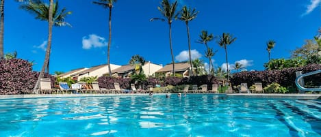 A clear blue pool with lounge chairs and palm trees.