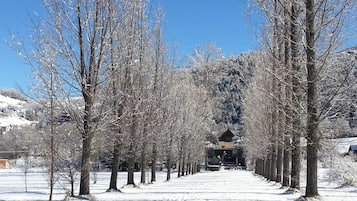 Un sendero cubierto de nieve bordeado de árboles desnudos que conduce a un edificio con techo empinado.