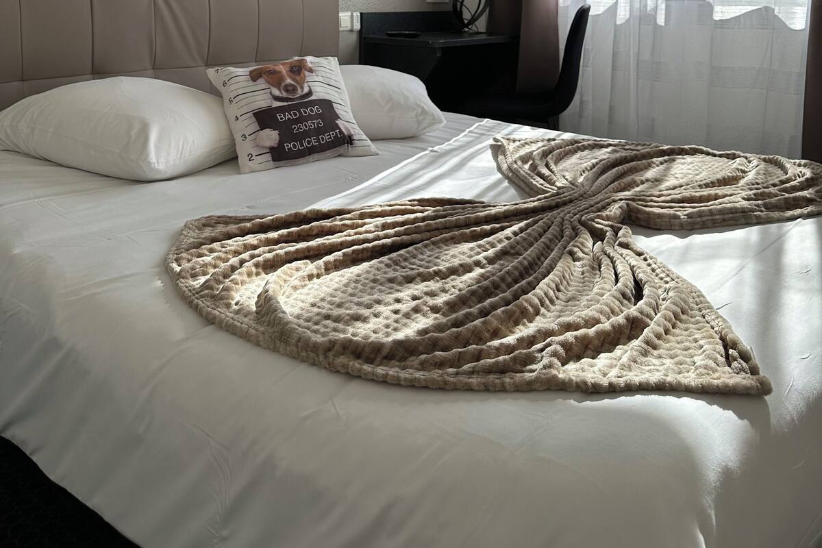 Un lit bien fait, recouvert d’une grande couverture à motifs, avec une tête de lit, un oreiller orné d’un motif canin, une lampe de chevet et une vue sur l’extérieur à travers des rideaux légers.
