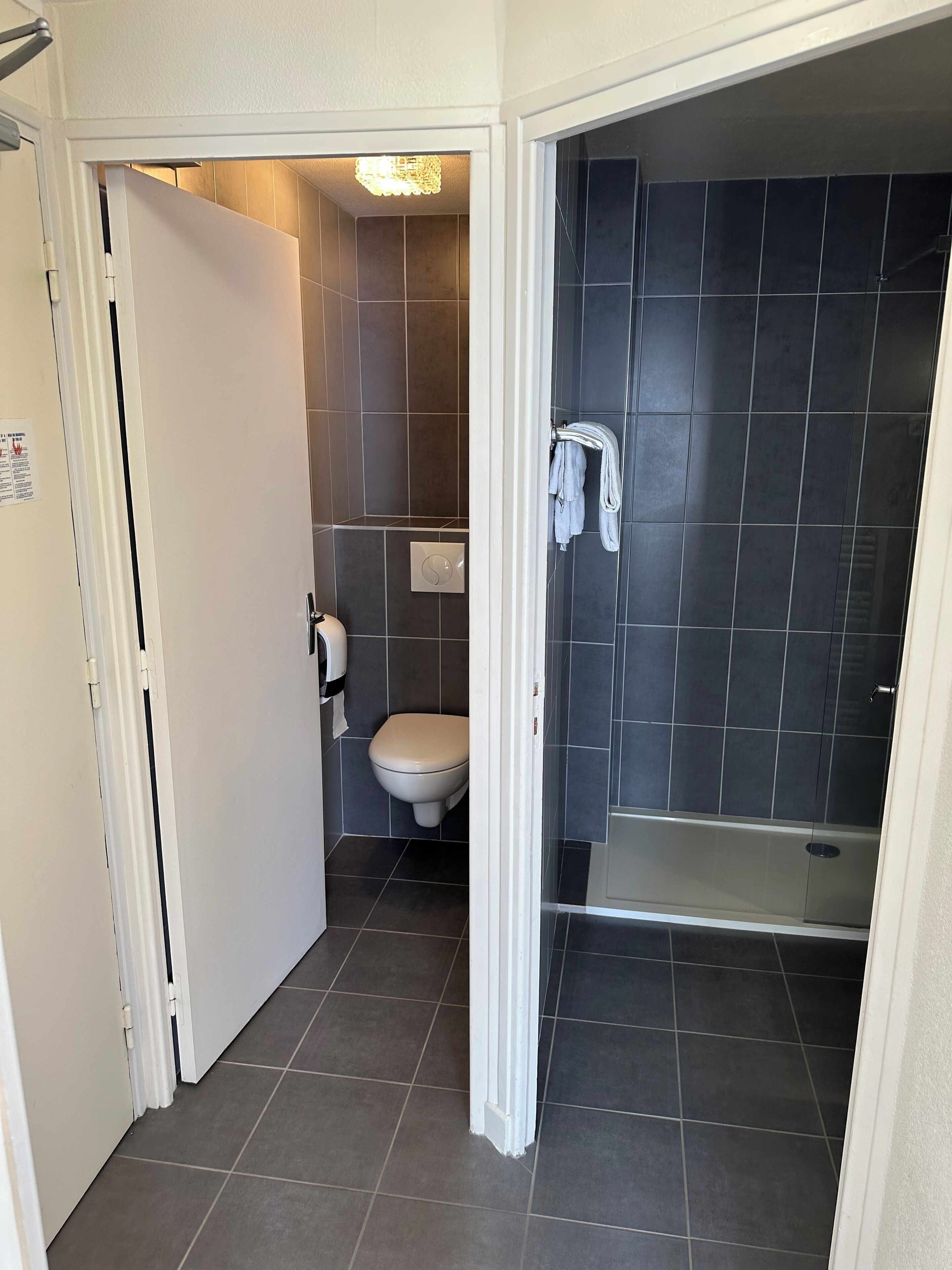 A bathroom with a toilet, a shower, and a towel rack.