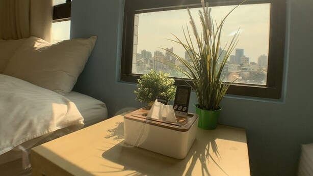 A hotel room with a bed, a bedside table with a tissue box, a potted plant, and a view of a cityscape through a window. - Partyport-Hai (Tainan)