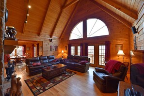 TV connectée, cheminée, lecteur de DVD, livres