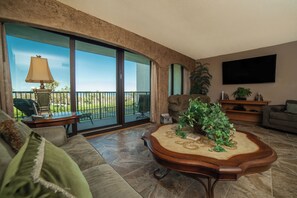 Smart TV, lettore DVD, libri, biblioteca musicale