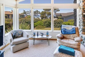 Televisio, DVD-soitin, videokirjasto, stereot