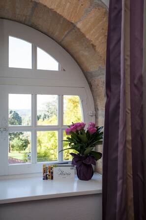 Ein Fenster mit weißem Rahmen und Blick ins Grüne.