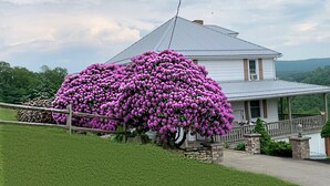A house with a large garden and a prominent flowering tree. - 10 minutes to FallingWaterand 15 minutes to Ohiopyle. Very Quiet !  (Mill Run)