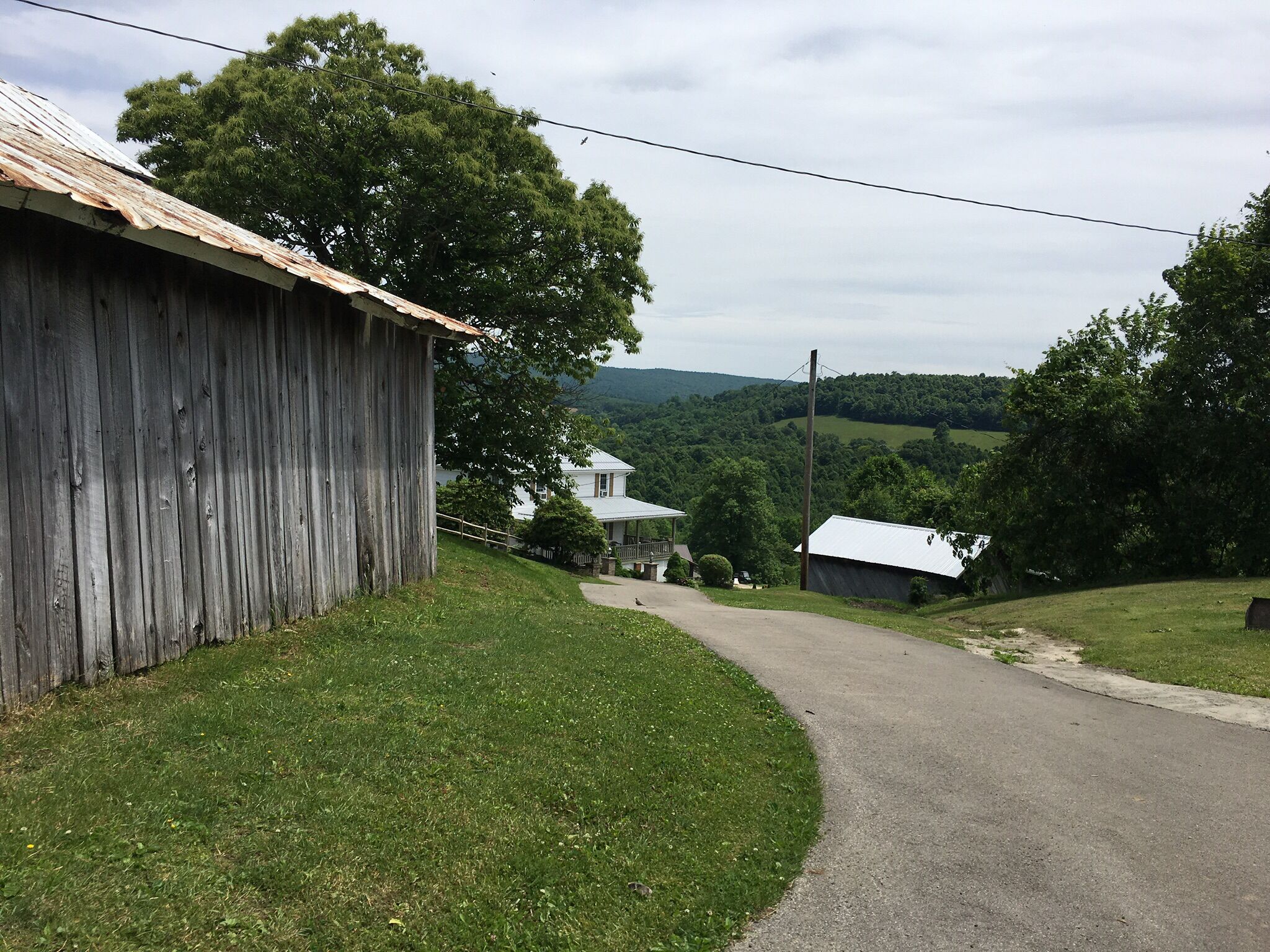 A rural road leading to a white house with a porch, surrounded by green fields and trees.