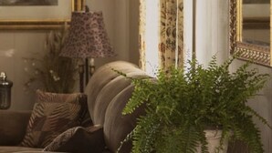 A cozy living room with a brown sofa, a large potted fern, a lamp, and a framed picture on the wall. - 10 minutes to FallingWaterand 15 minutes to Ohiopyle. Very Quiet !  (Mill Run)