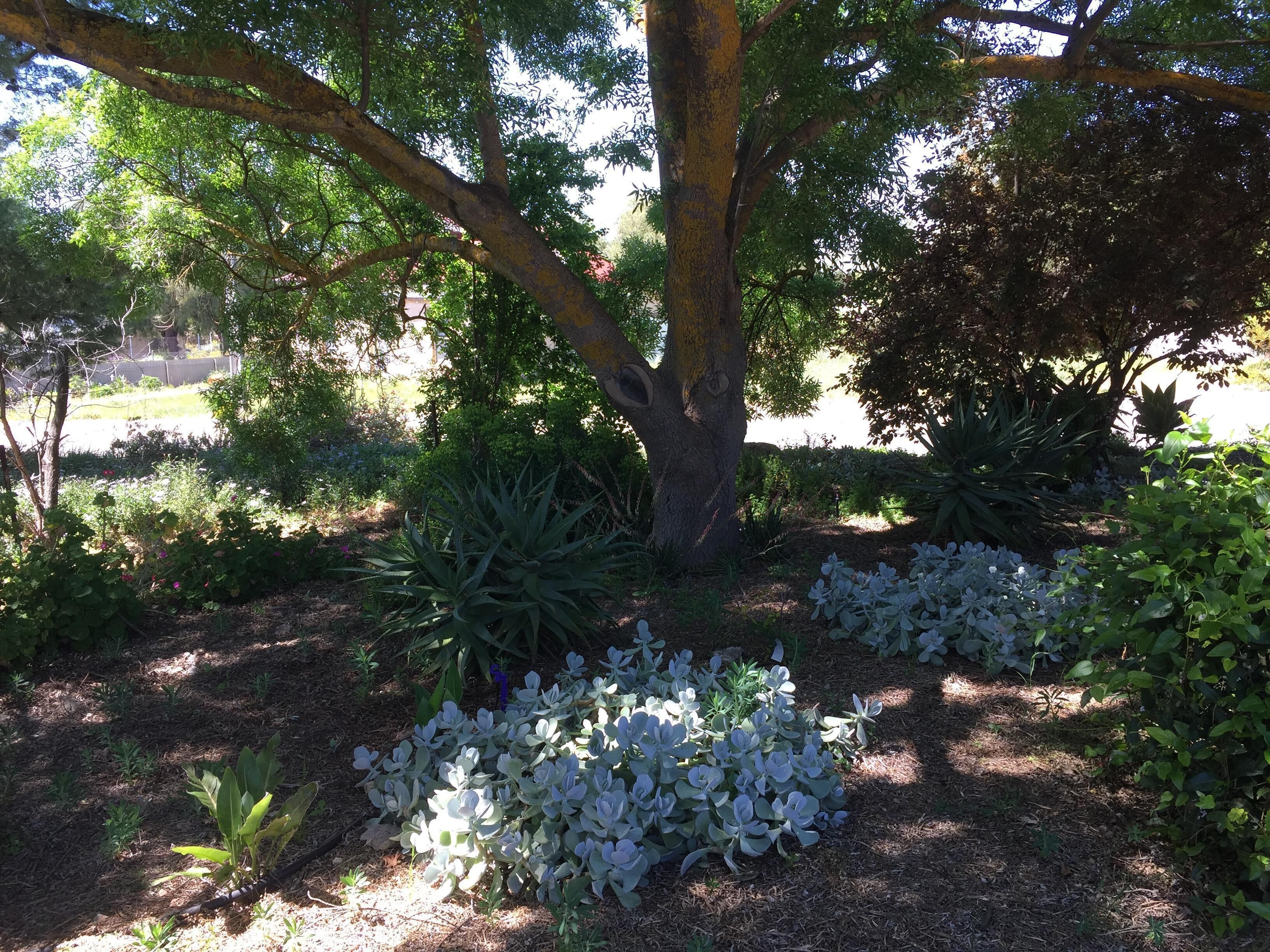 Lyreen's apartment B&B — image 14