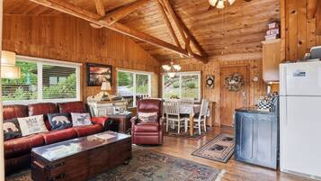 Smart TV, fireplace, Netflix, streaming services