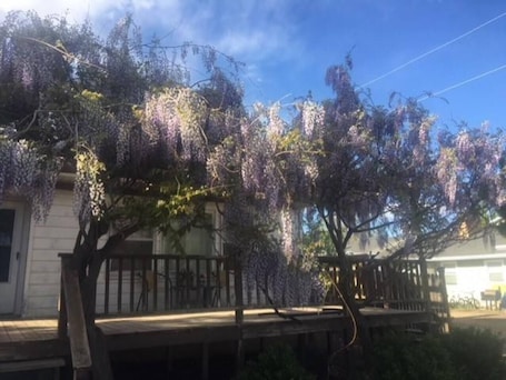 Terrace/patio. Wisteria Vine Cottage