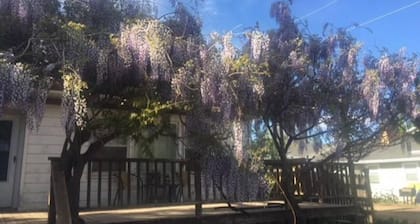 Acogedora casa de campo entre las flores, disfrutar del paisaje!