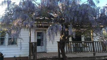 A white house with a wooden deck and a tree with purple flowers.