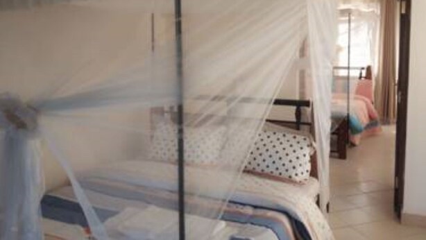 Un dormitorio con una cama cubierta por una mosquitera, una mesita de noche y un ventanal con cortinas.
