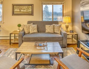 Älytelevisio, kirjoja, stereot