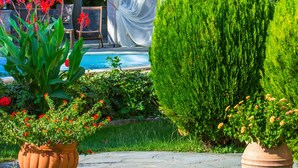 A garden with a pool, a covered seating area, and various potted plants. - Luxury Villa Fotini (Thasos)