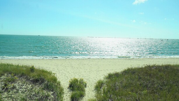 Een strand met heldere lucht en rustige zee.