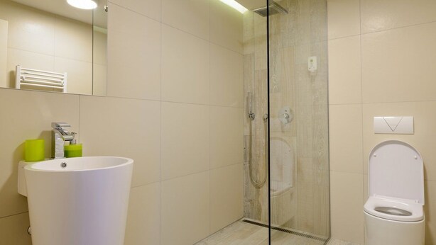 A modern bathroom with a large white sink, a glass-enclosed shower, and a toilet. - Blumenhaus Sibiu (Sibiu)