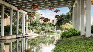 Un espacio exterior tranquilo con fuente de agua, rodeado de follaje y arquitectura moderna.