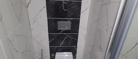 A bathroom with a toilet, a shower, and a glass door.