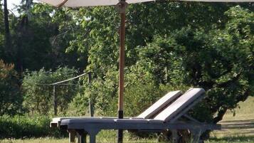 Seasonal outdoor pool, pool umbrellas, sun loungers