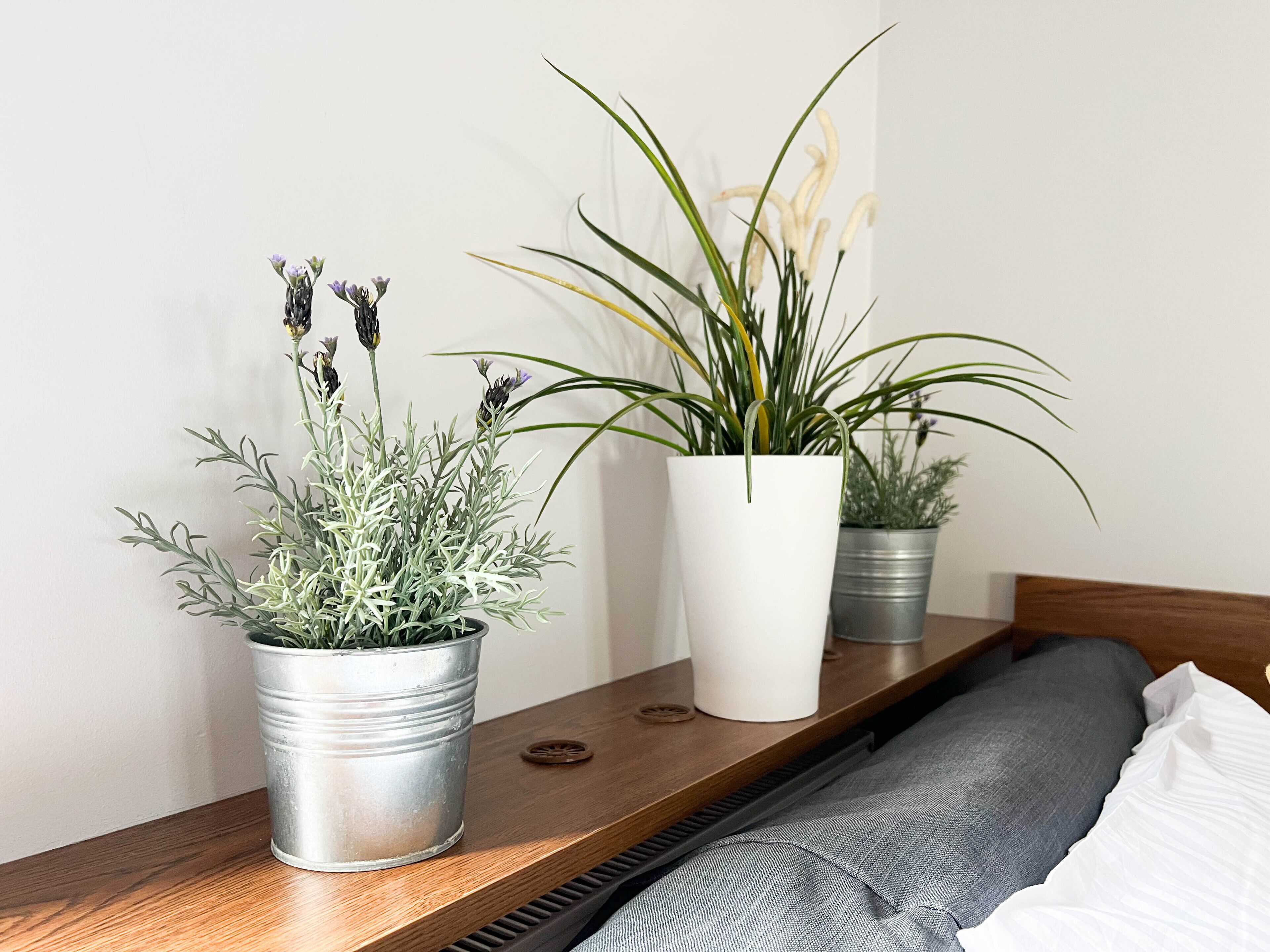 A wooden shelf with three potted plants.