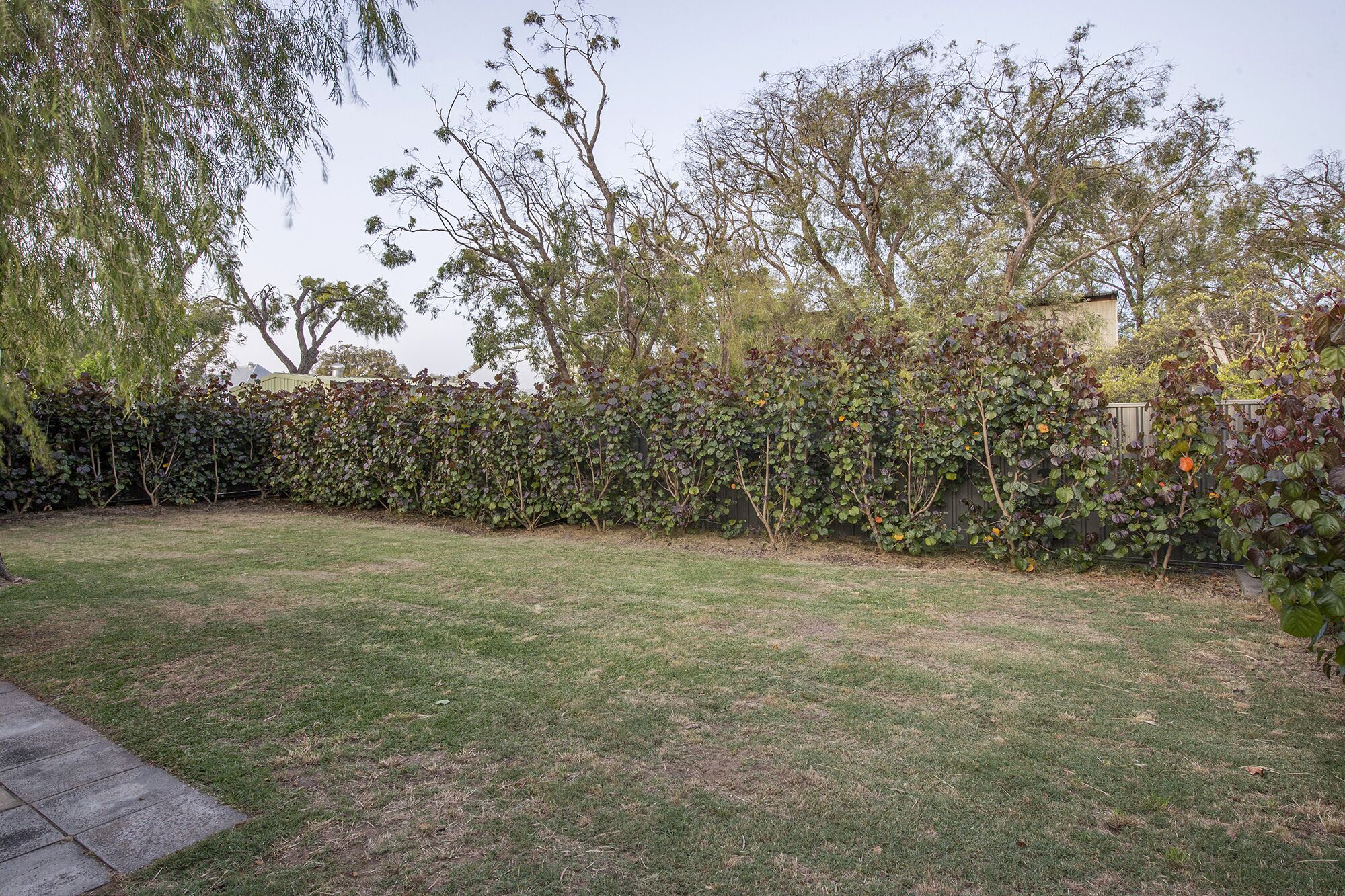 Dunsborough Cottage in Peron Ave — image 26