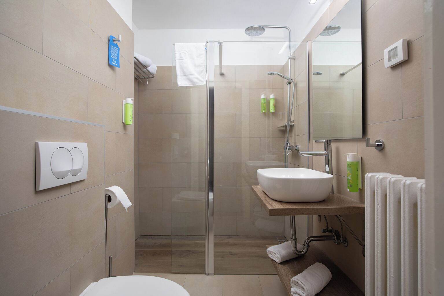 A modern bathroom with a glass shower enclosure, a white sink, and a toilet.