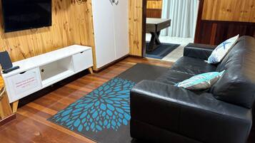 Smart TV, fireplace, ping pong, books