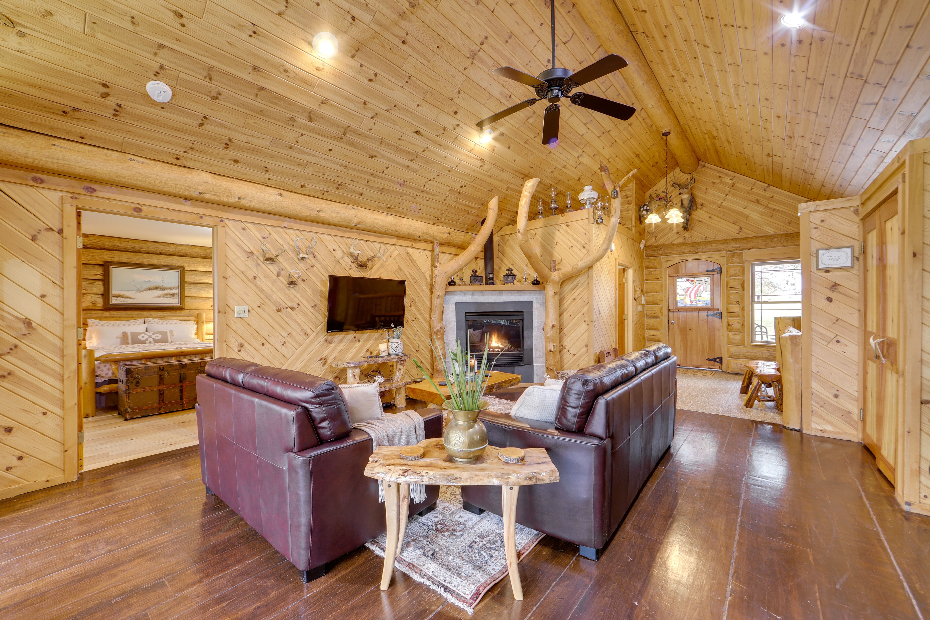 TV, fireplace, DVD player, books