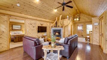 TV, fireplace, DVD player, books