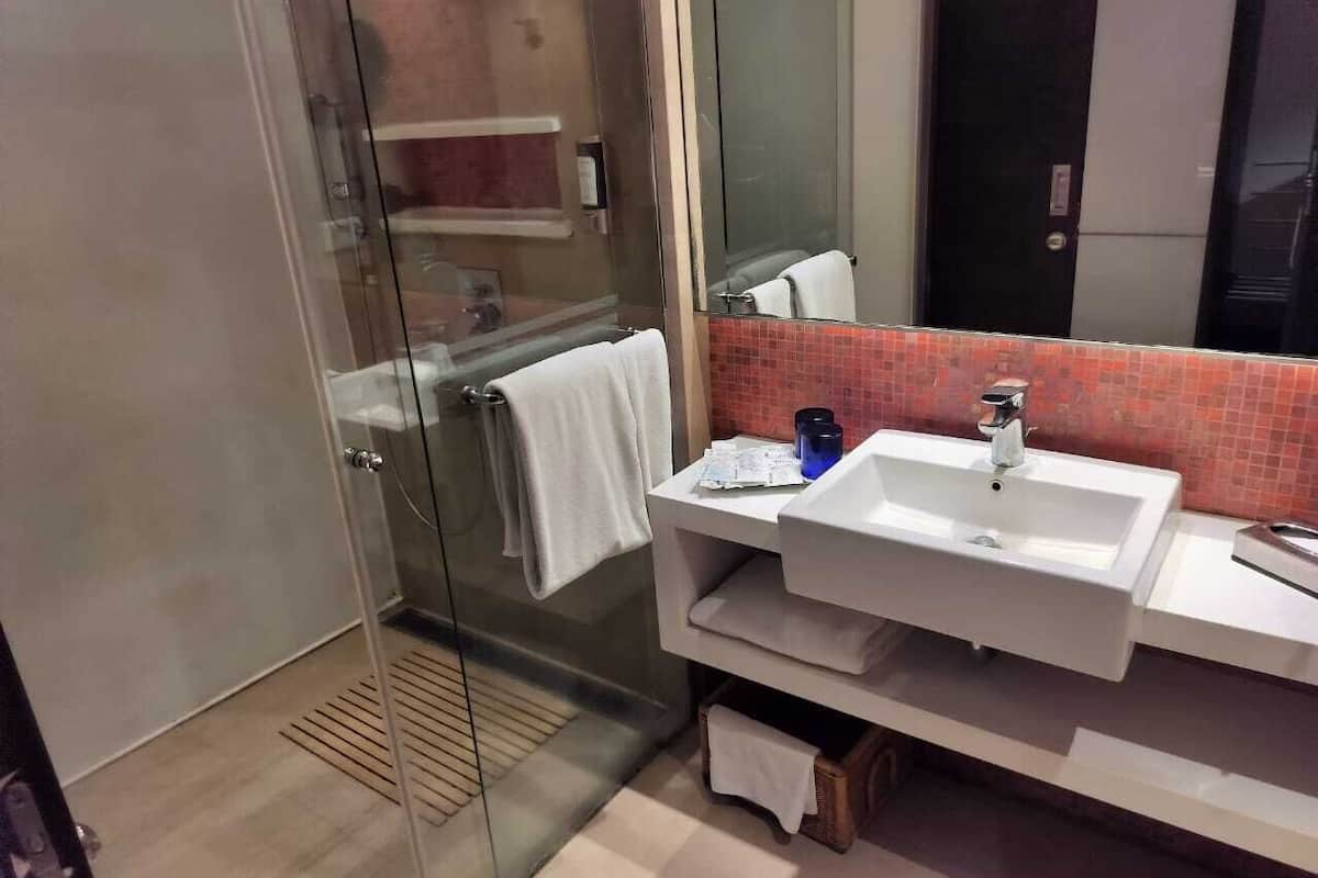 shower, free toiletries, hair dryer, towels