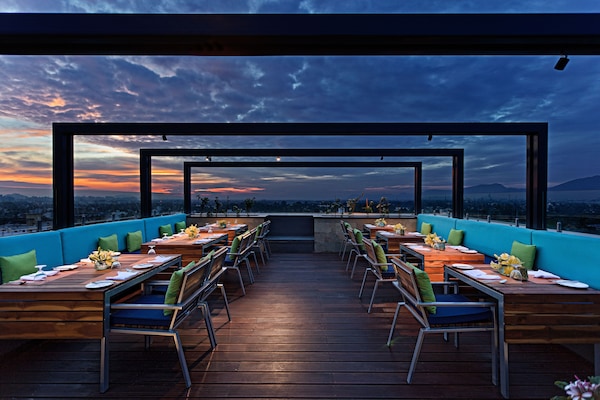 International cuisine