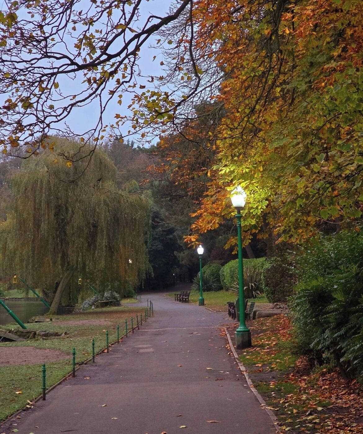 A park pathway with benches, trees, and lampposts.