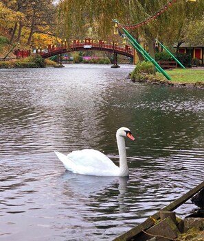 Park view