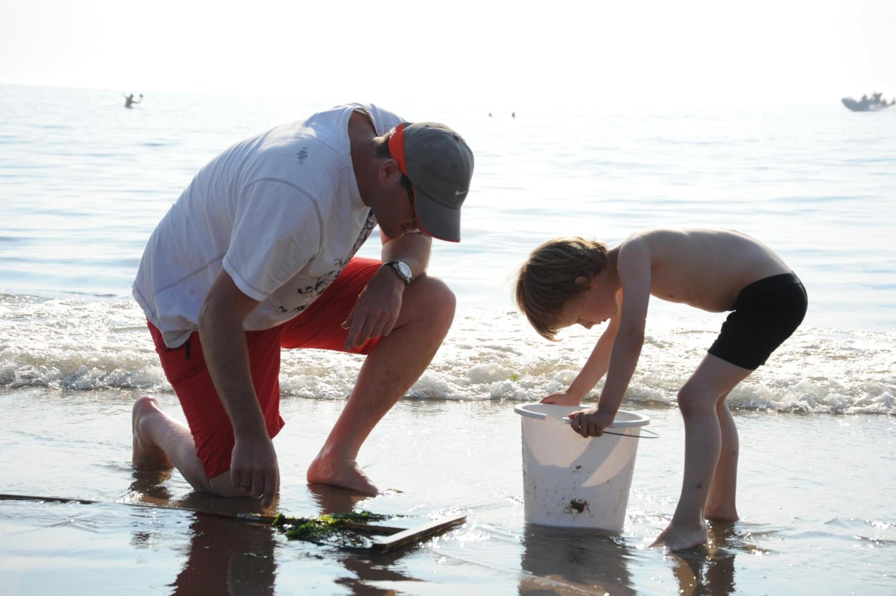 Foto - Hotel De Boei