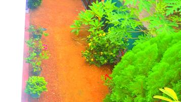 Utsikt från boendet