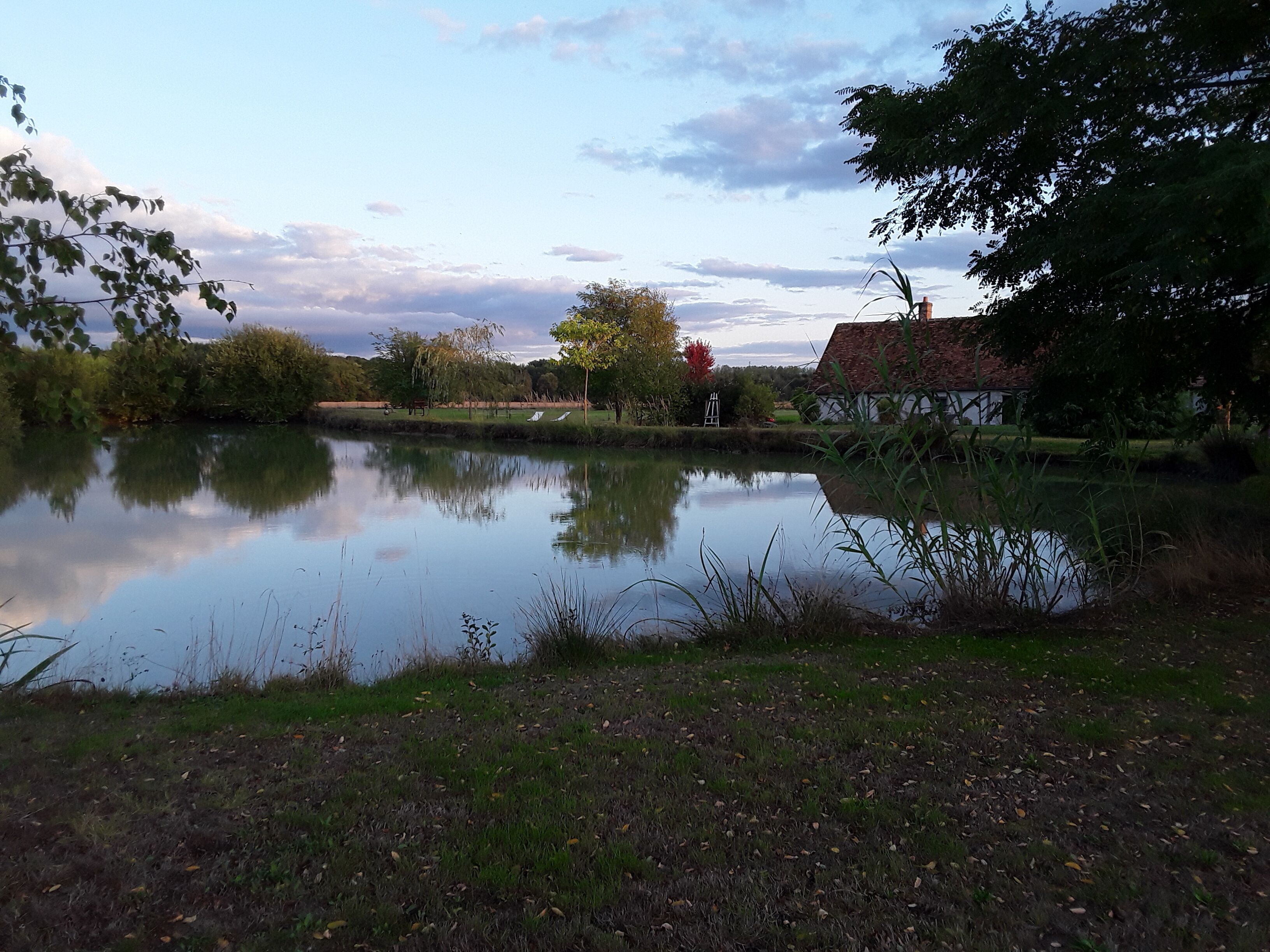 A tranquil pond with a clear reflection, surrounded by greenery and a traditional building with a sloped roof.