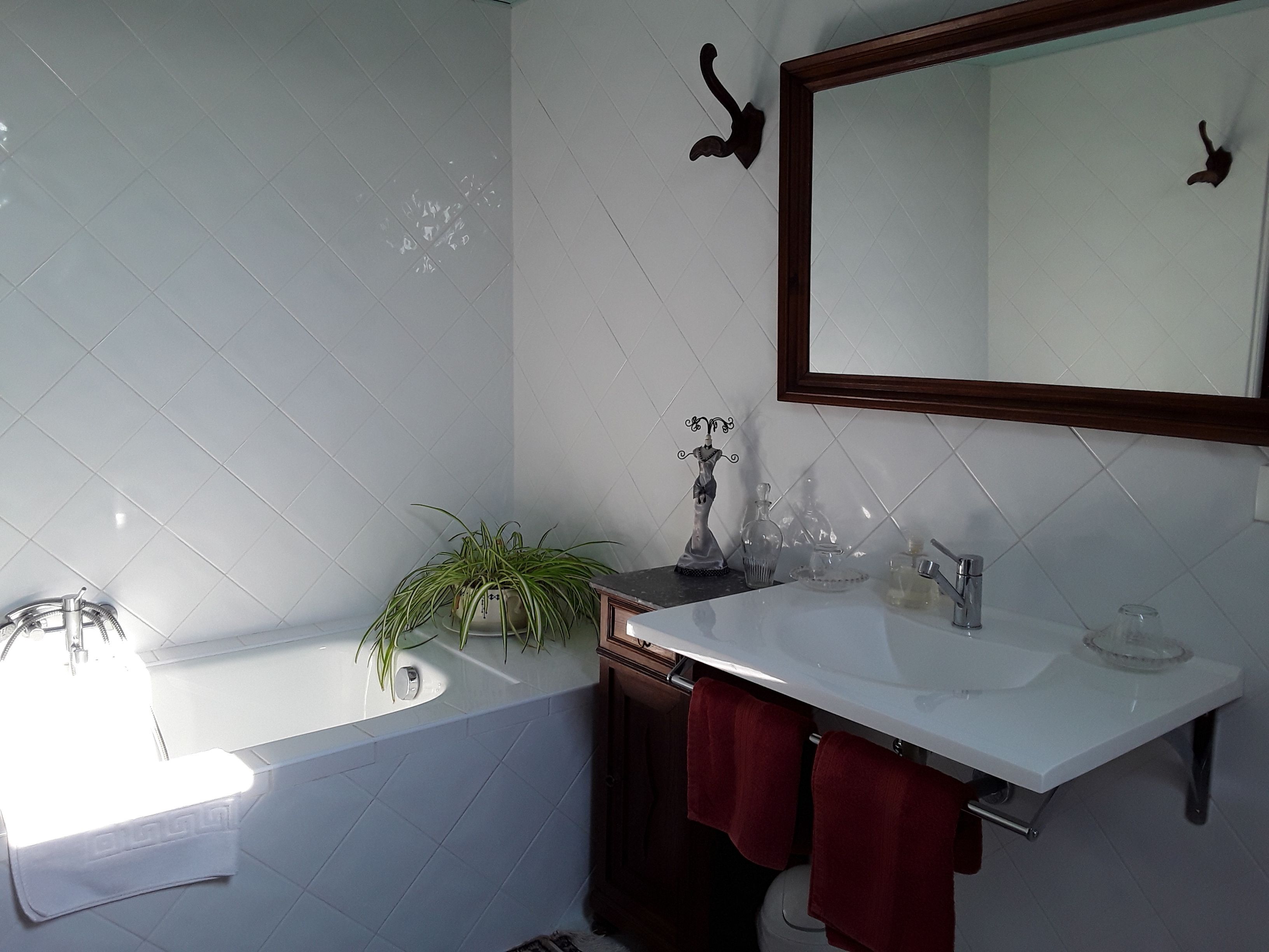 Ein Badezimmer mit weißem Waschbecken, einem Spiegel, einer Topfpflanze und einem Handtuchhalter.