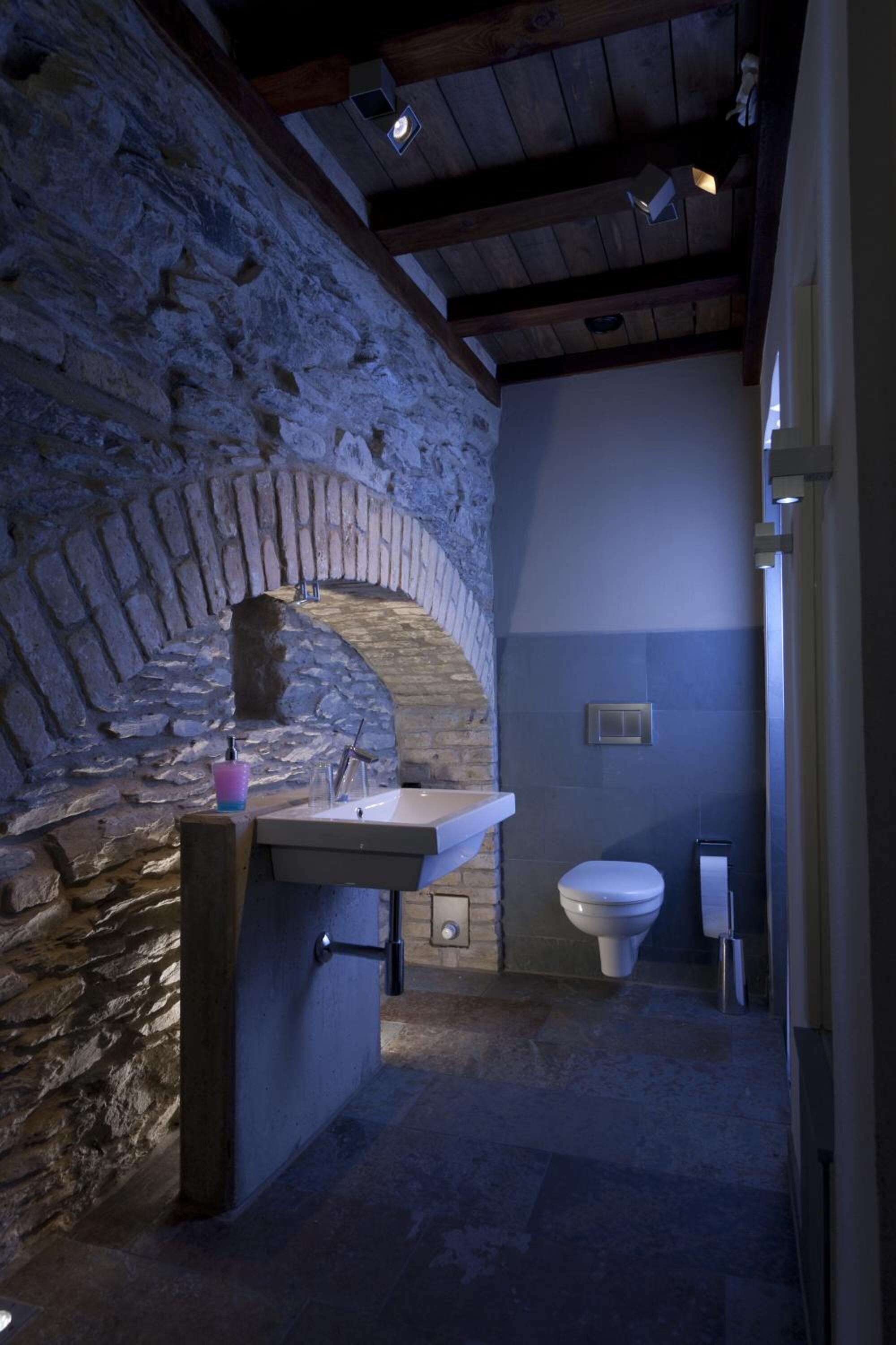 Un bagno con parete in pietra, un lavandino e un water.