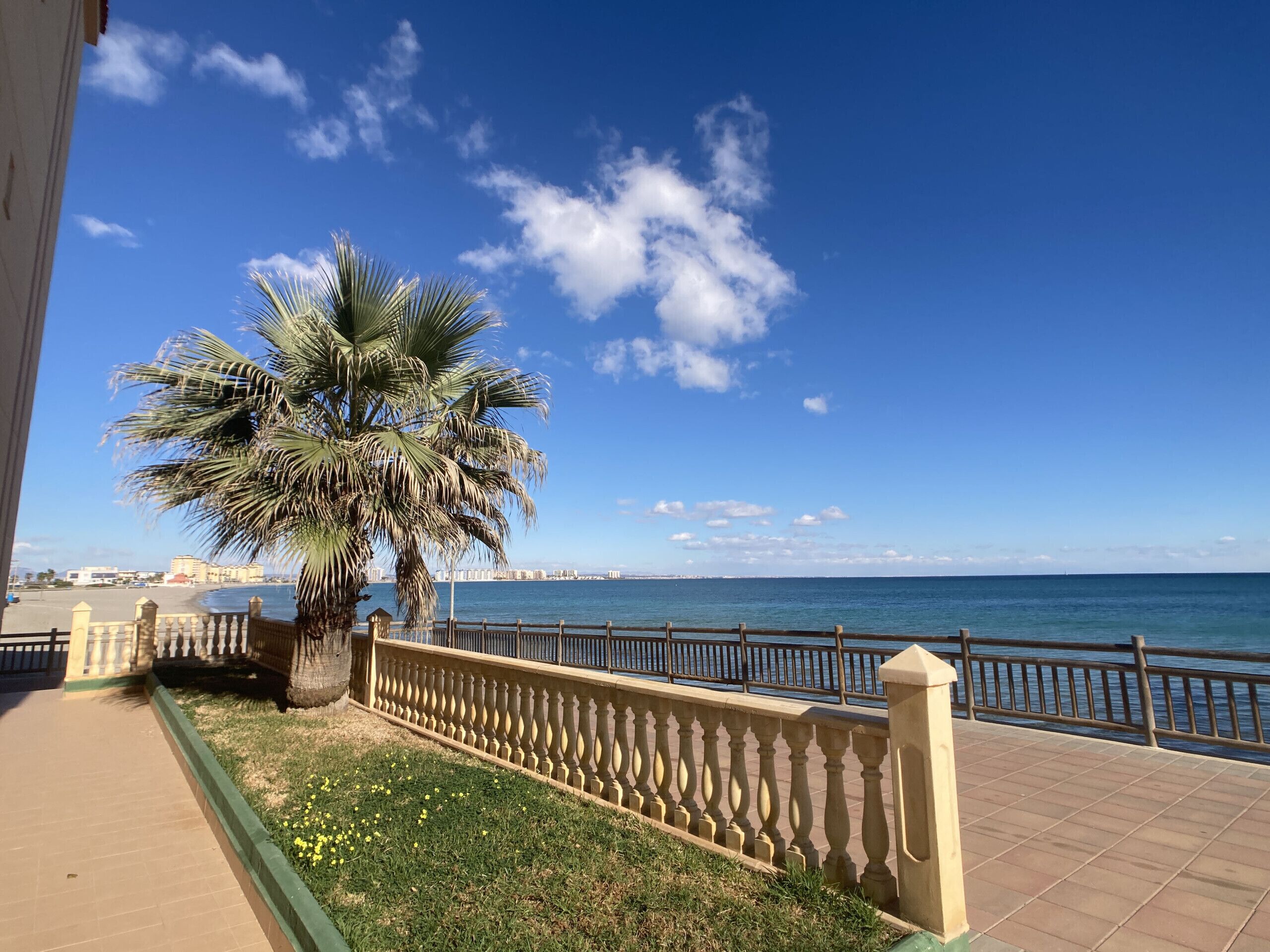 Un paseo marítimo con una palmera, una valla y vistas al mar y edificios al fondo.