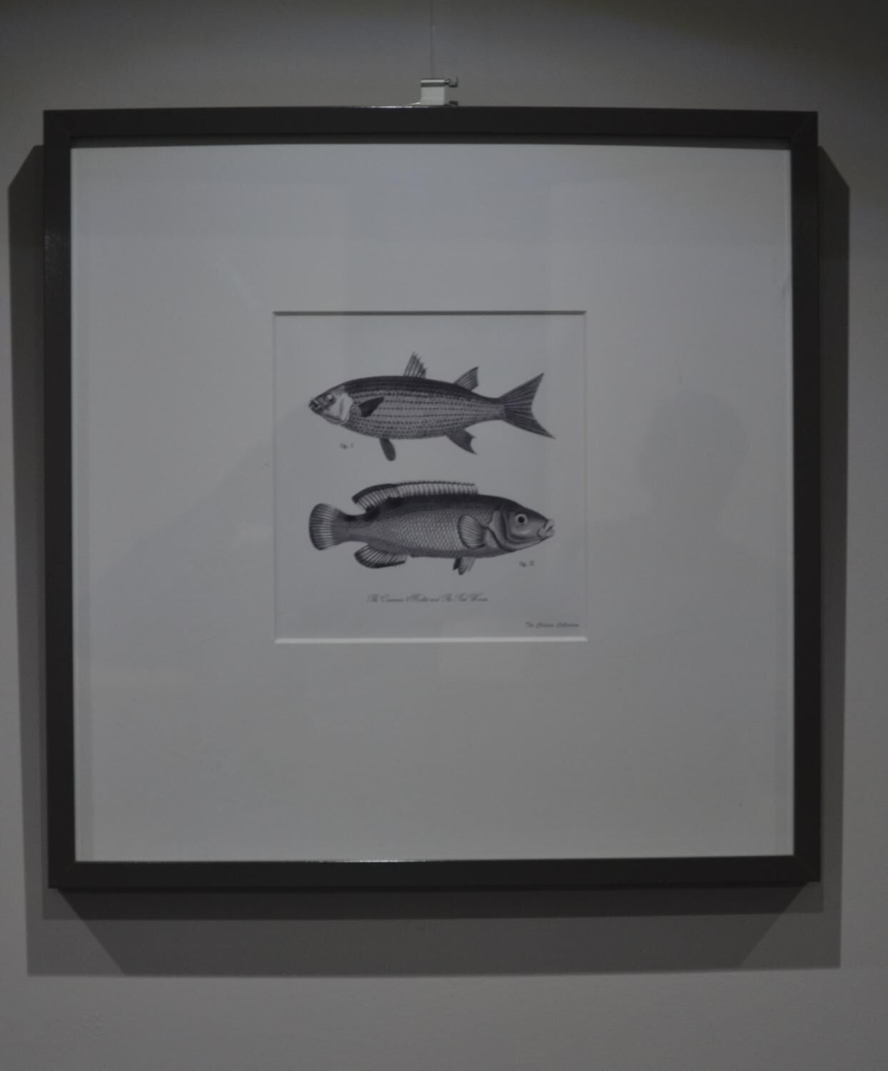 Photo - Hôtel Concorde - Centre ville de Nimes