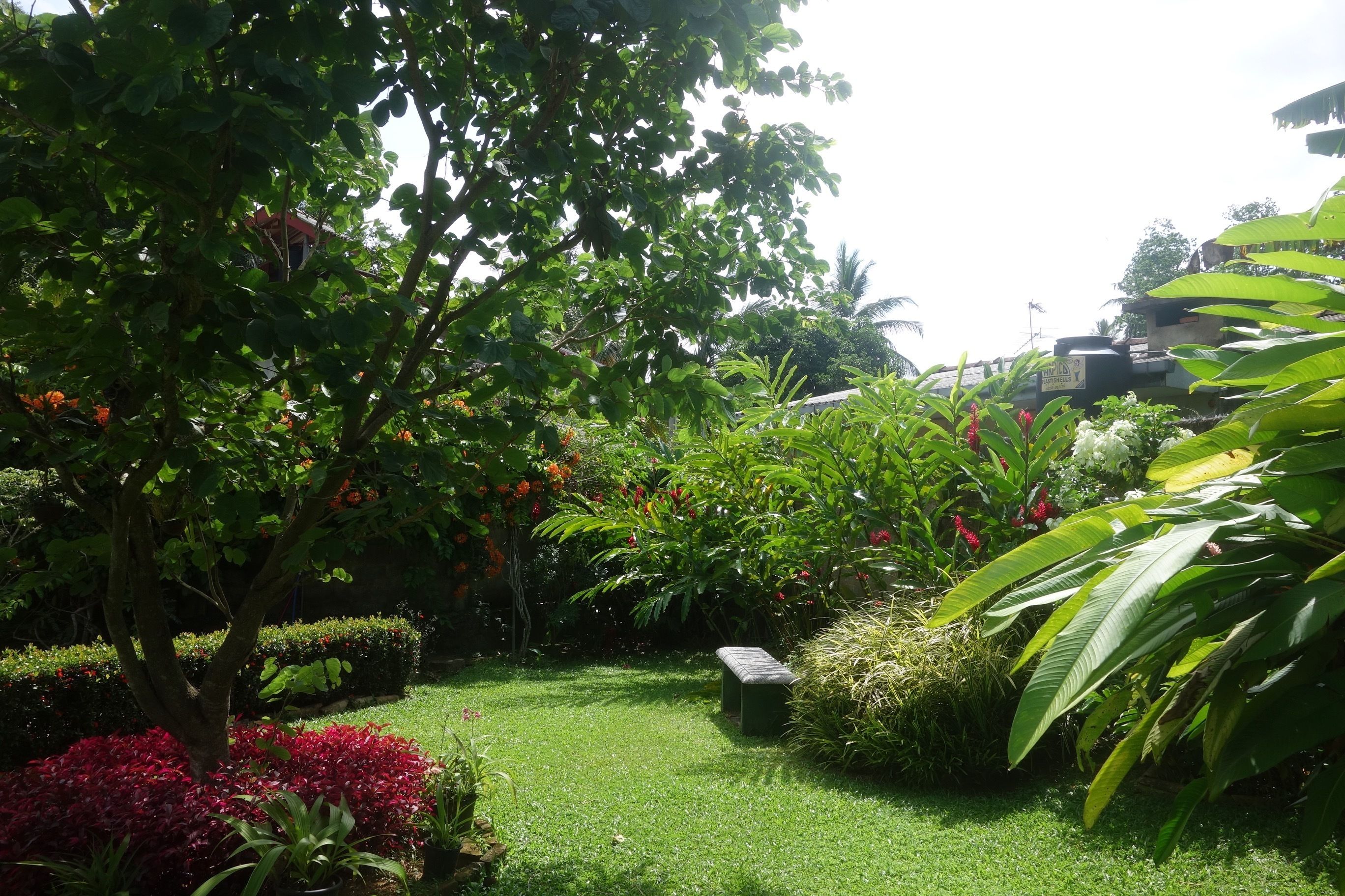 A well-maintained garden with a variety of plants and a bench.