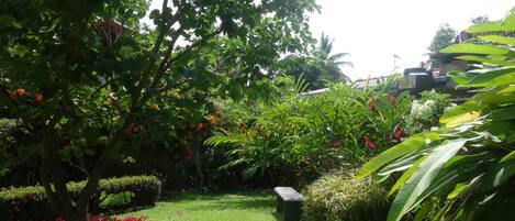 A well-maintained garden with a variety of plants and a bench.