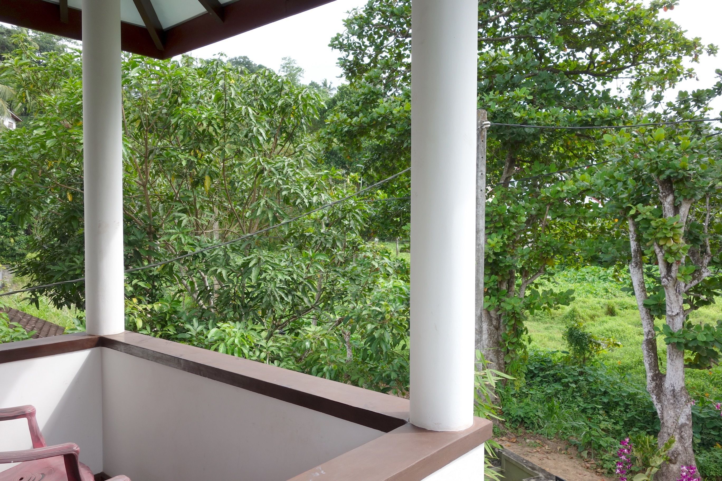 A balcony with white columns, a brown ledge, and a view of lush greenery.