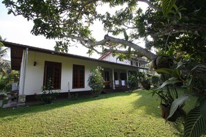 A house with a porch, a lawn, and various plants.