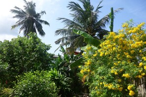 Garden - Manel Guesthouse (Galle)